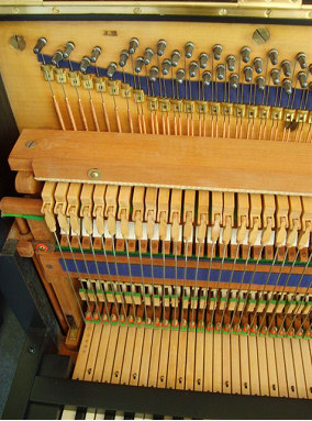 broadwood-2.jpg - 56098 Bytes
